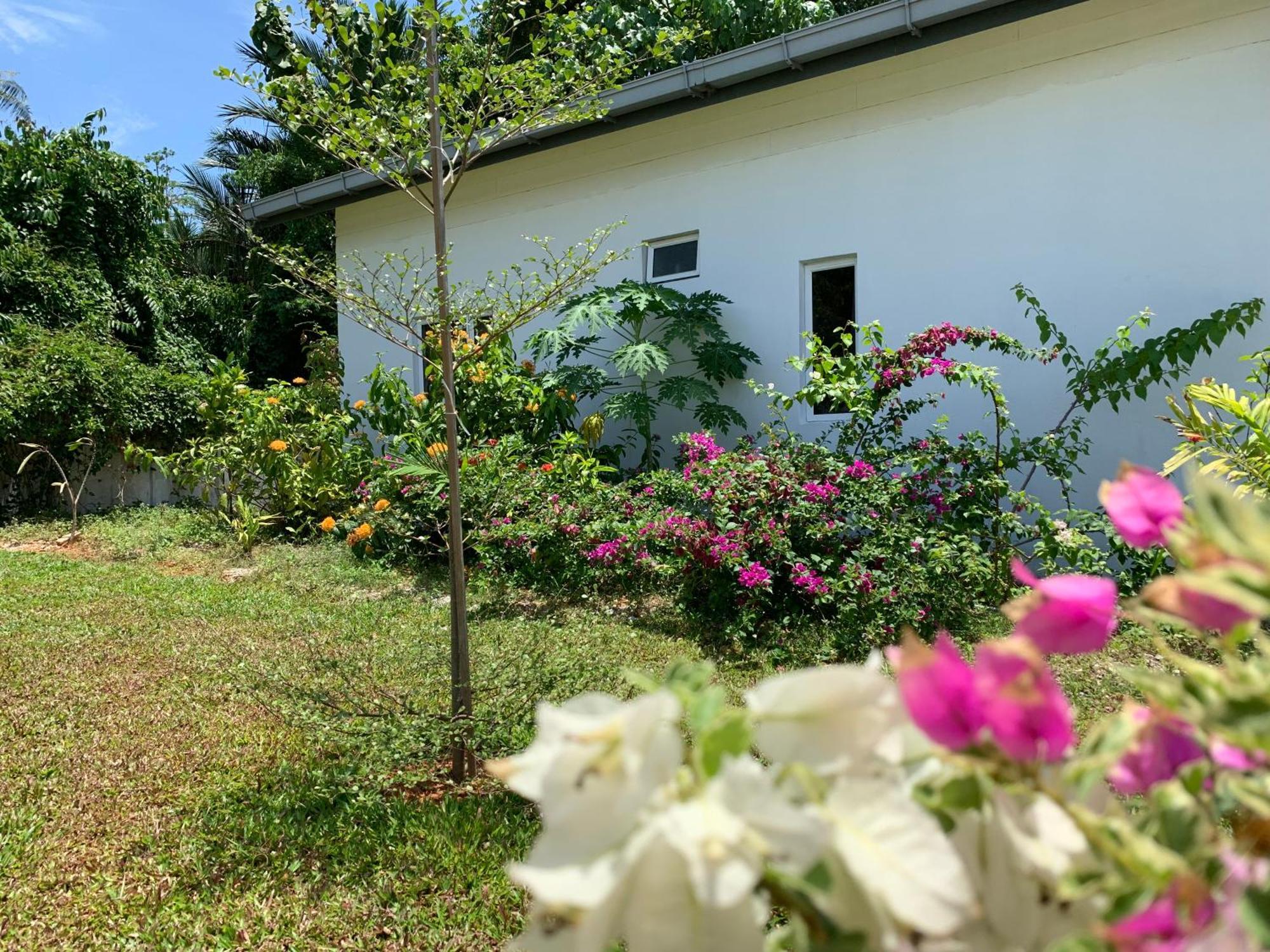 Cloud9 Holiday Cottages Pantai Cenang  Exterior photo