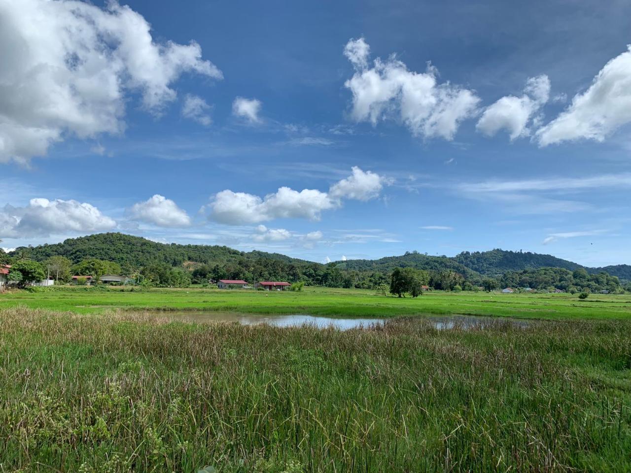 Cloud9 Holiday Cottages Pantai Cenang  Exterior photo